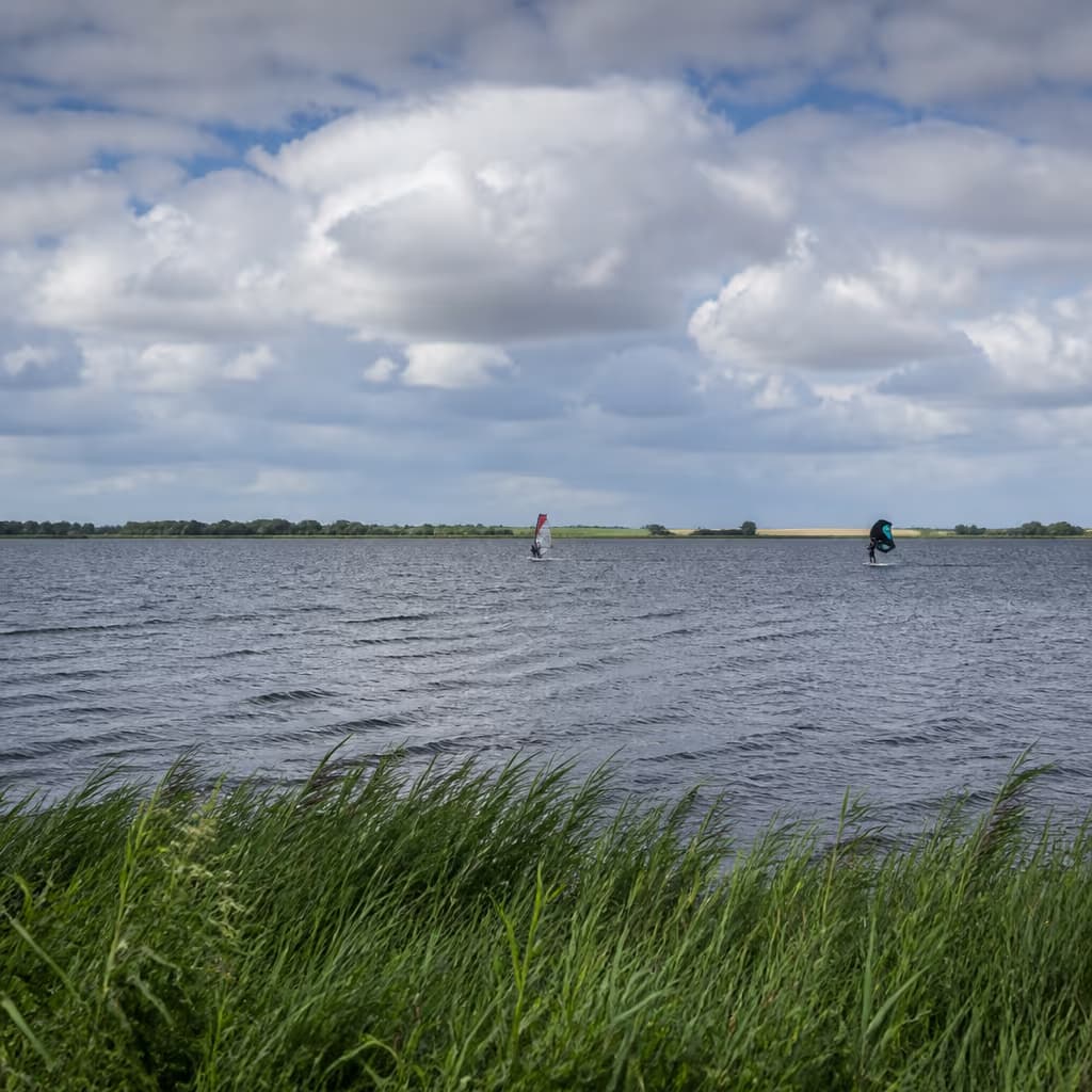Afgedamde Maas Rijswijk