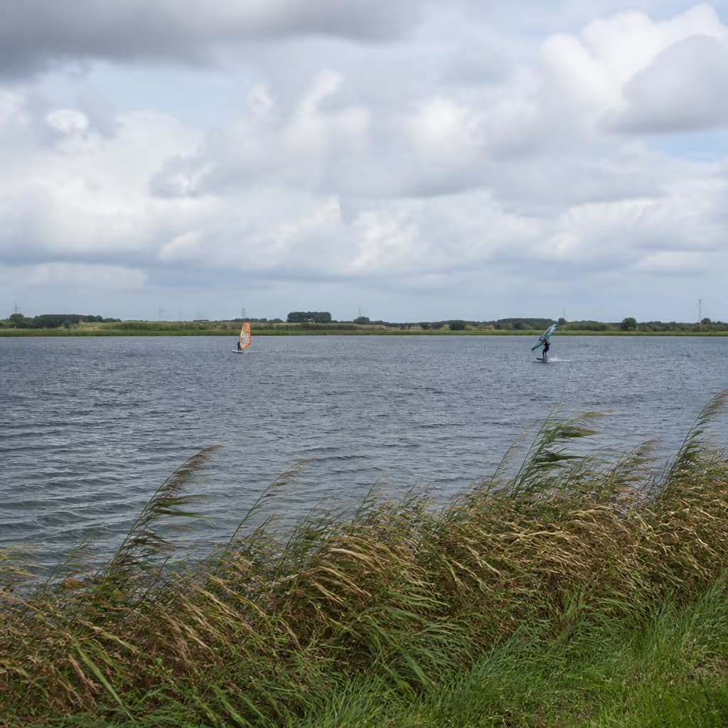 Krabbeplas Vlaardingen