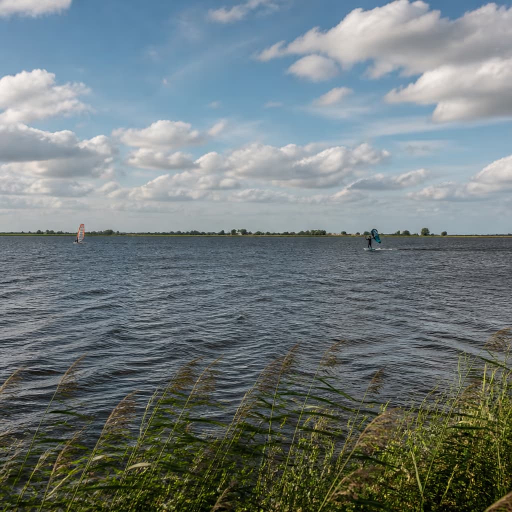 Leekstermeer