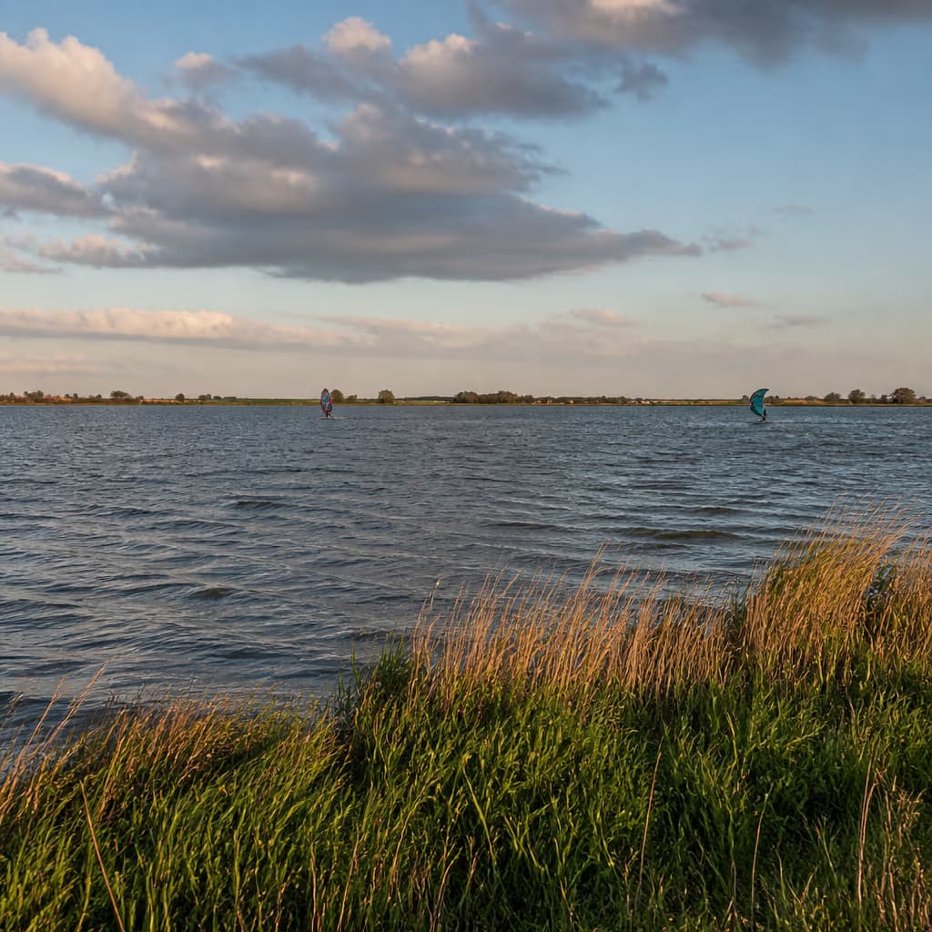 Pampushaven
