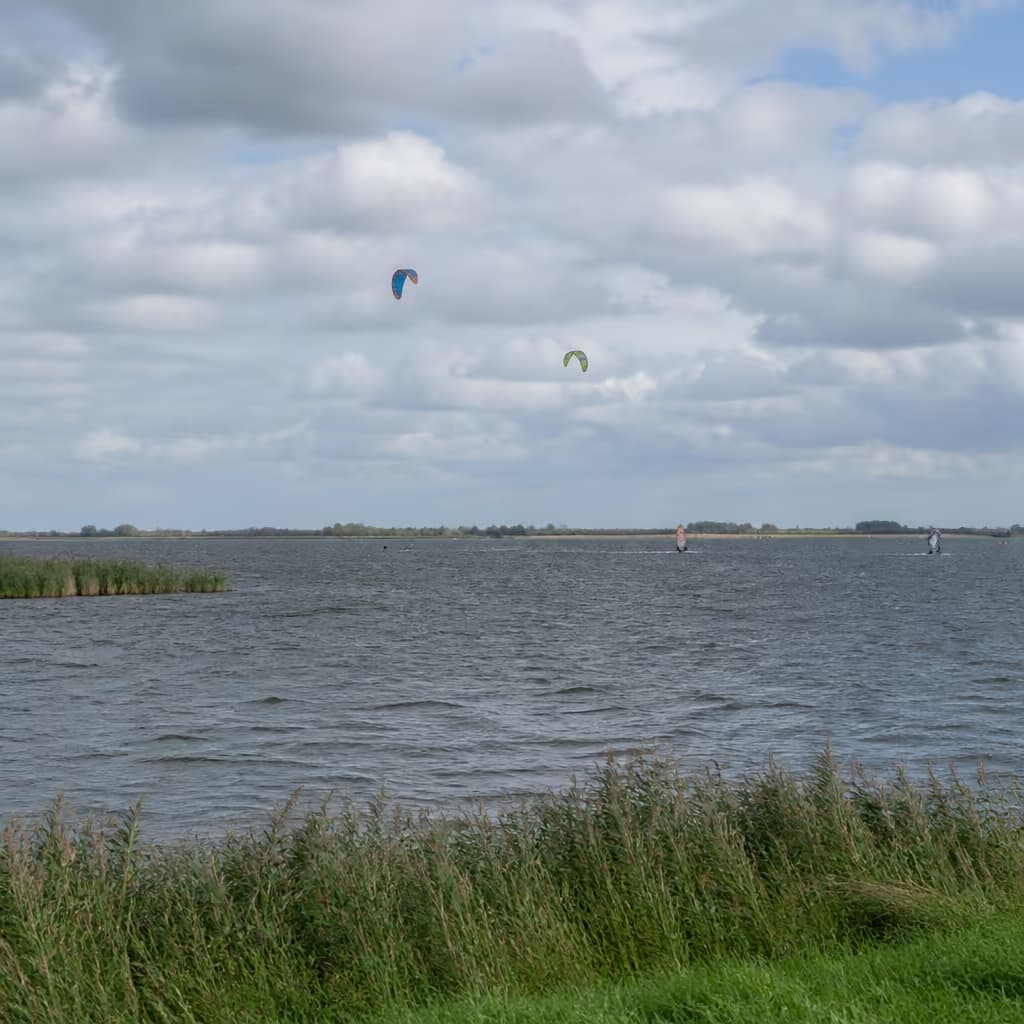 Schellinkhout