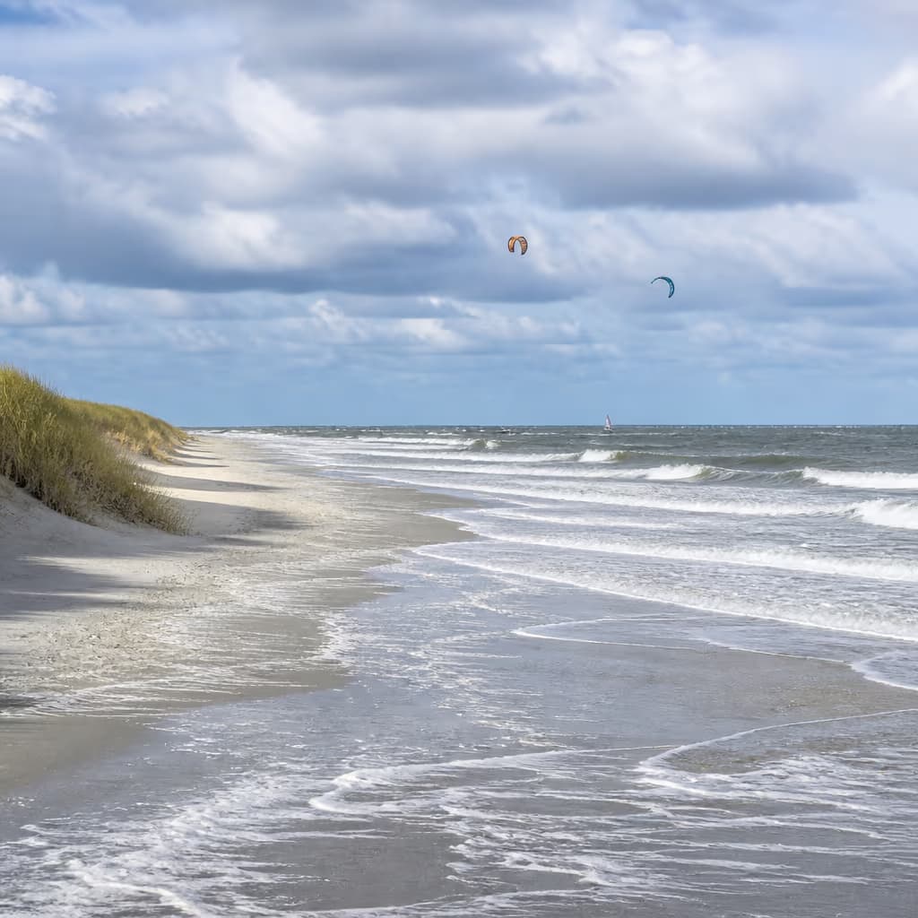 Terschelling - Noordzee